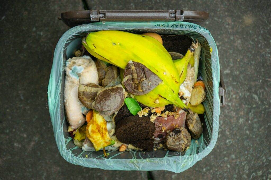 Food Waste: Why it’s so bad and what we can do about it