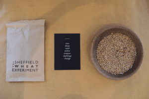 Sheffield Wheat Experiment