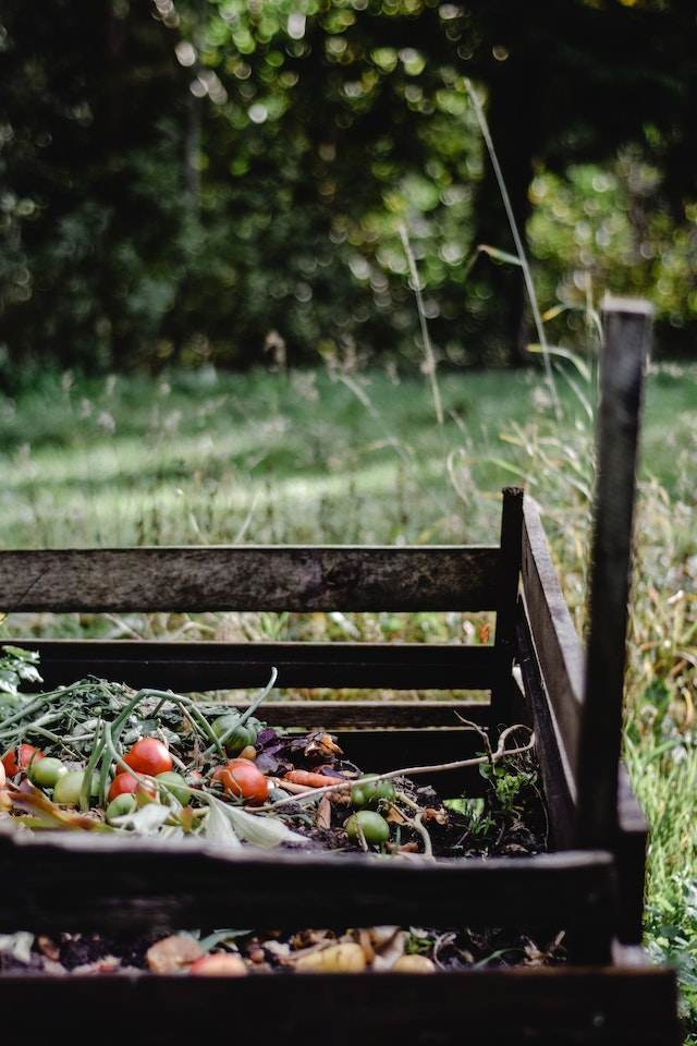 Here’s our easy guide on home composting and what to do when you can’t compost at home