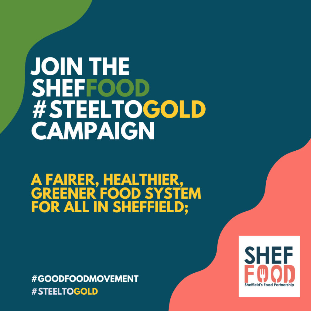 Steel to Gold campaign