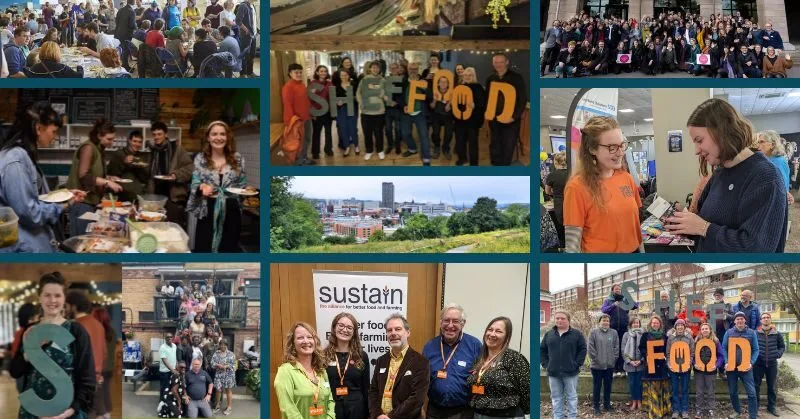 Celebrating Growth, Connections, and Impact with ShefFood