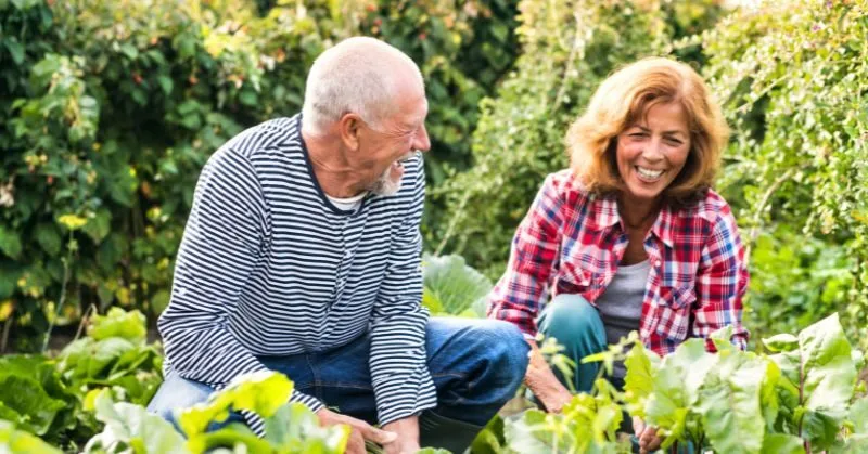 How Food, Nature and Community Support Mental Health in Sheffield