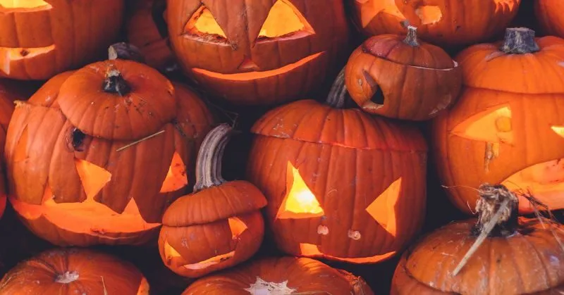 8 million pumpkins!
