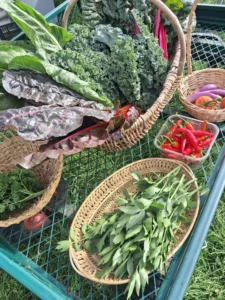 Veg grown by pupils at Arbourthorne Community Primary School